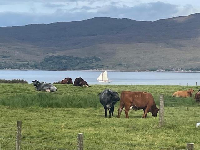 Plockton, Camus Fearn Barn Villa Eksteriør bilde